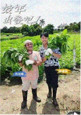 九九影视综艺无限加速中